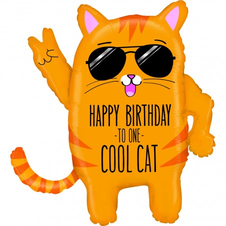 Ballon Aluminium Anniversaire De Chat Cool